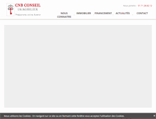 Tablet Screenshot of cnbconseil.com